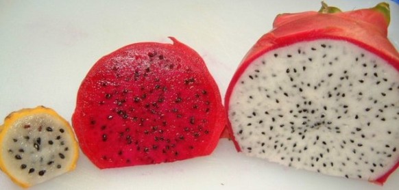 3 types of Dragon Fruits